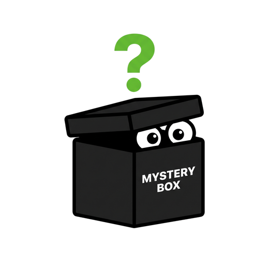 Mystery Lizard Box 🦎